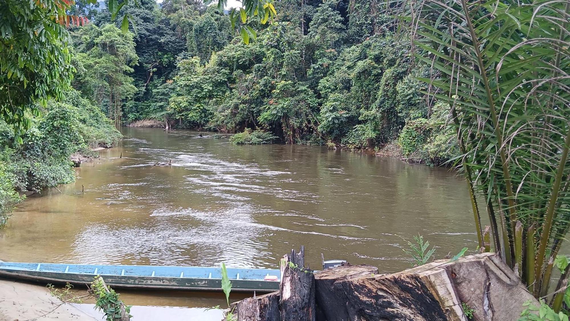 Mulu Tribal Homestay 외부 사진